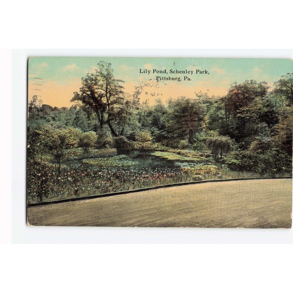 Vintage 1911 Lily Pond Schenley Park Pittsburgh PA Postcard Boggs & Buhl VG